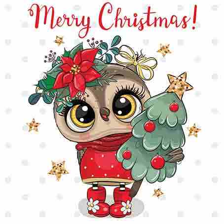 Owl